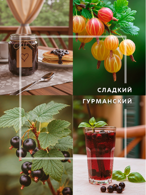 Диффузор ароматический Breesal Passion черная смородина, 70мл