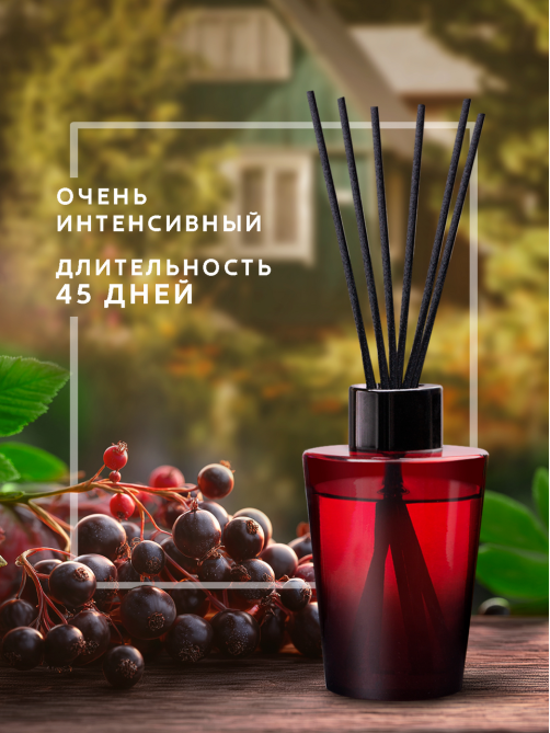 Диффузор ароматический Breesal Passion черная смородина, 70мл