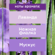 Освежитель воздуха Glade Безмятежная лаванда и алоэ, 300мл
