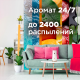 Освежитель воздуха Glade Automatic Восточные пряности и дерево уд сменный баллон, 269мл