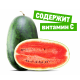 Арбуз весовой