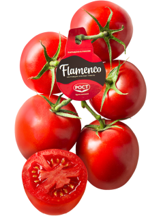 Томаты сливовидные Flamenco красные