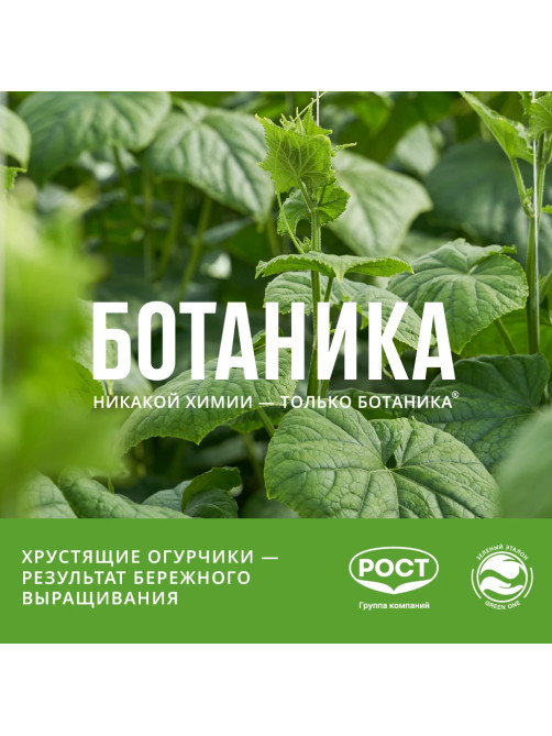 Огурцы Ботаника гладкие, 420г