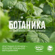 Огурцы Ботаника гладкие, 420г
