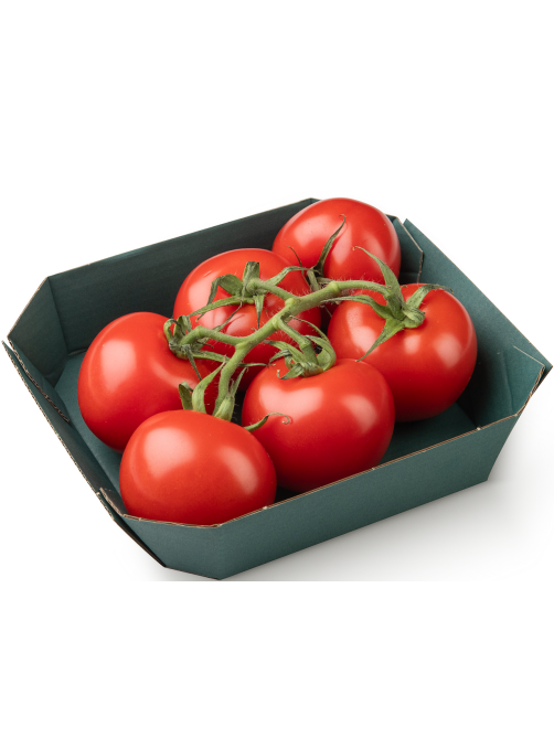 Томаты ЭКО-культура Прованс на ветке, 450г
