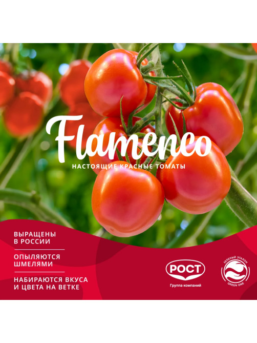 Томаты Flamenco сливка, 450г