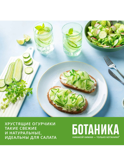 Огурцы Ботаника гладкие, 420г