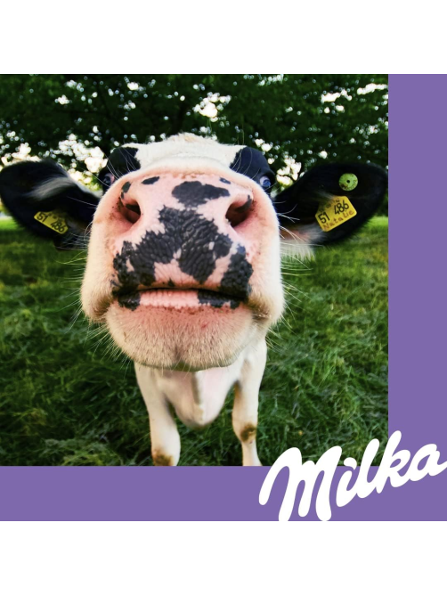 Бисквит Milka Choco Biscuits, 150г