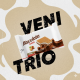 Вафля Biscolata Veni Trio Hazelnut с молочно-ореховой начинкой и фундуком, 20г х 24 шт