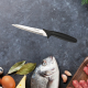 Нож универсальный Attribute Chef, 12см