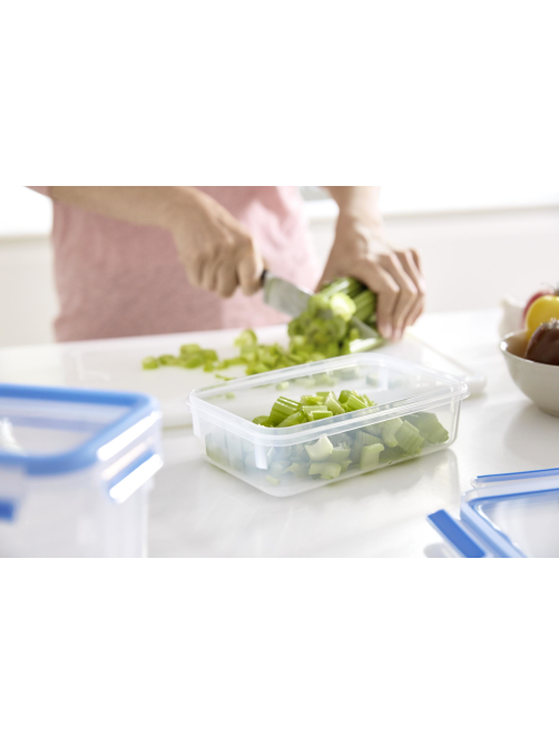 Контейнер Tefal Masterseal Fresh для закусок, 1л