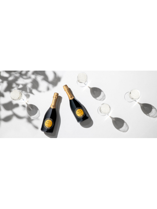 Вино игристое Valdo Cuvee i Magredi Prosecco Extra Dry белое сухое, 0.75л