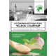 Чеснок Мир на тарелке сушеный, 20г