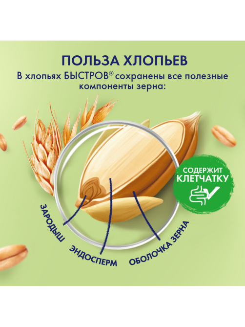 Каша овсяная Быстров черника, 40г