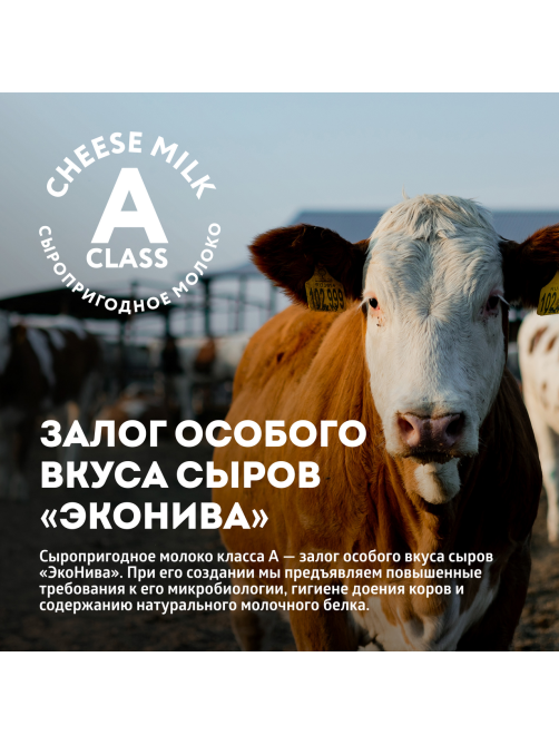Сыр Эконива Щучанский полутвердый 50%, 200г