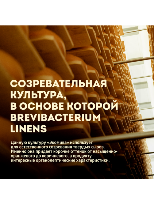 Сыр Эконива Durr Zeller твердый 55%, ~850г