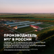 Сыр Эконива Сулугуни 45%, ~300г