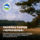 Сыр Эконива Колыбельский полутвердый 45%, 200г