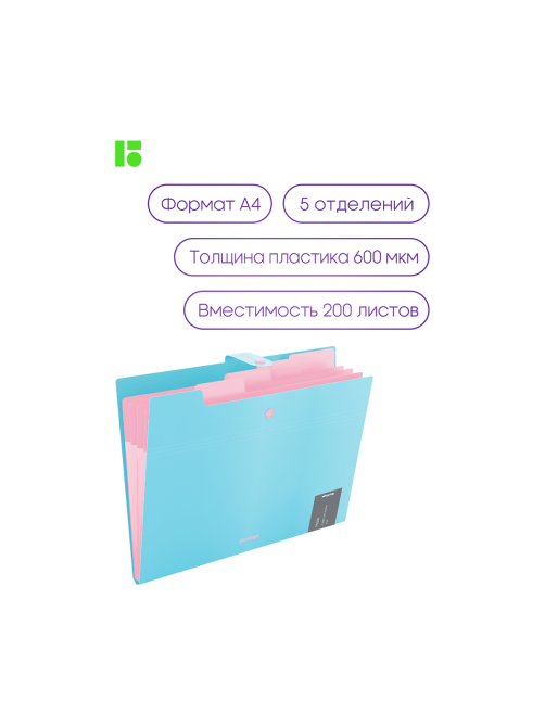 Папка Berlingo Haze 5 отделений А4 600мкм