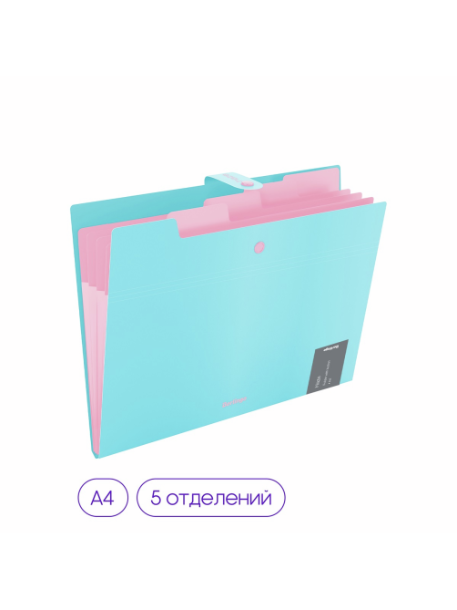 Папка Berlingo Haze 5 отделений А4 600мкм