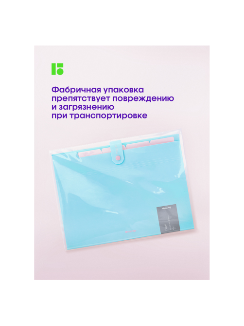 Папка Berlingo Haze 5 отделений А4 600мкм