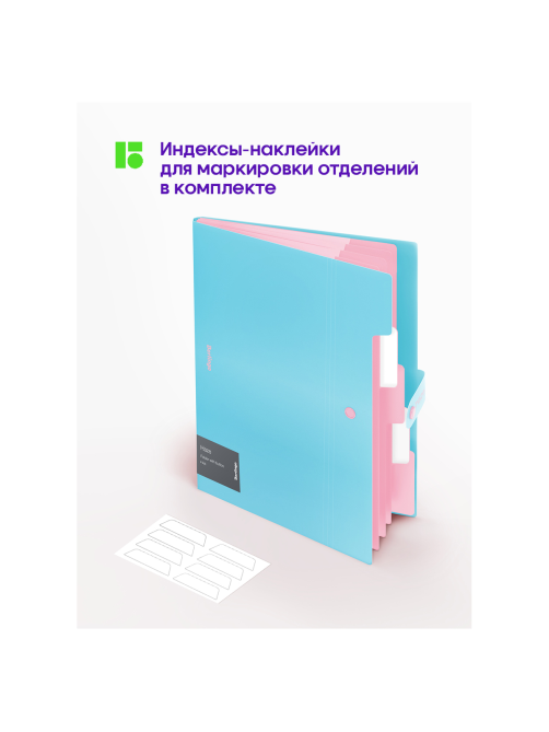 Папка Berlingo Haze 5 отделений А4 600мкм