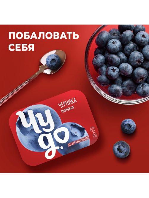 Творожок Чудо двухслойный Черника 4.2%, 100г