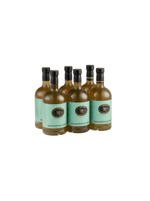 Сироп Herbarista Eucalyptus & Mint Эвкалипт и мята, 700мл