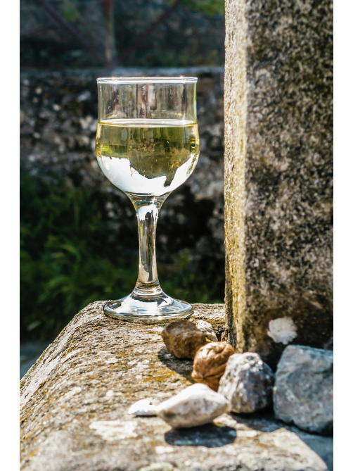 Вино Cantina Scansano Talamo Bianco di Pitigliano белое сухое, 0.75л