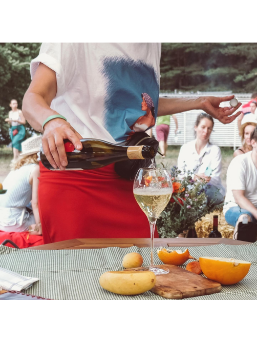 Вино Alma Valley Sauvignon Blanc белое сухое, 0.75л