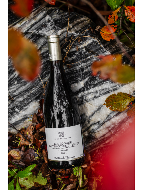 Вино Moillard Thomas Hautes Cotes de Nuits красное сухое, 0.75л
