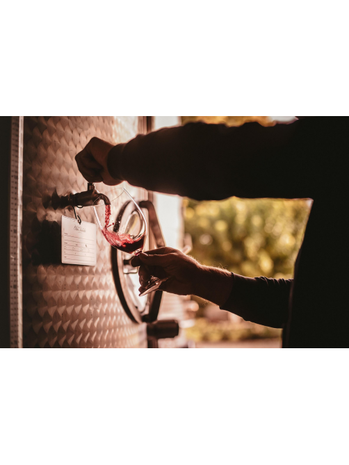 Вино Tenuta Olim Bauda La Villa Barbera d'Asti красное сухое, 0.75л