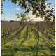 Вино Chateau Malartic-Lagraviere Le Comte de Malartic Pessac-Leognan rouge красное сухое, 0.75л