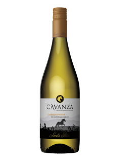 Вино Cavanza Chardonnay белое сухое, 0.75л