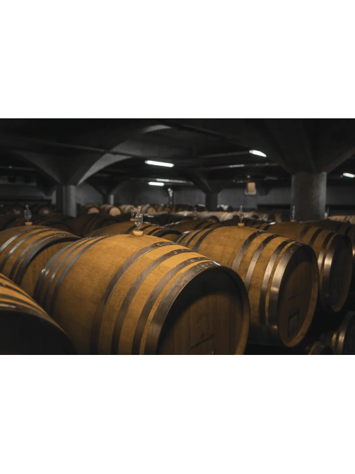 Вино Alma Valley Sauvignon Blanc белое сухое, 0.75л