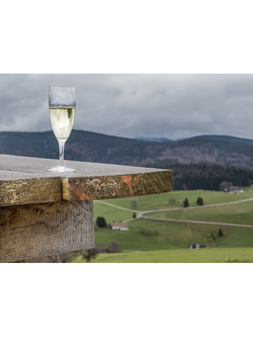 Вино Cantina Scansano Vermentino La Rasola Maremma Toscana белое сухое, 0.75л