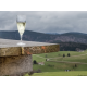 Вино Cantina Scansano Vermentino La Rasola Maremma Toscana белое сухое, 0.75л