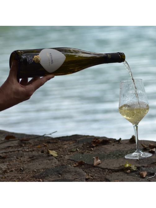 Вино Lavis Riesling белое полусухое, 0.75л