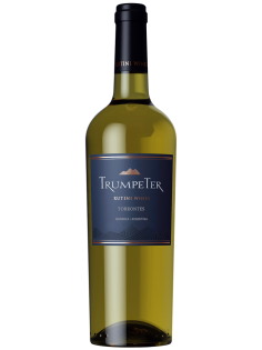 Вино TrumpeTer Torrontes белое сухое, 0.75л