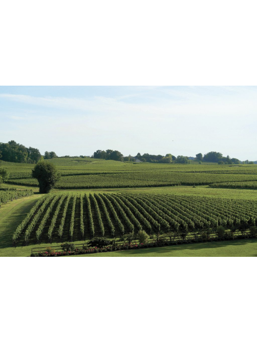 Вино Chateau Cote de Baleau Saint Emilion Grand Cru красное сухое, 0.75л