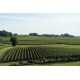 Вино Chateau Cote de Baleau Saint Emilion Grand Cru красное сухое, 0.75л