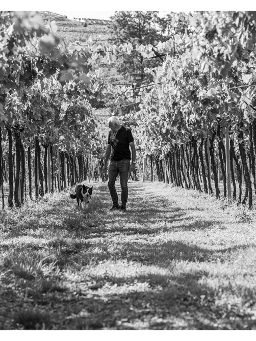 Вино Pra Amarone della Valpolicella красное сухое, 0.75л