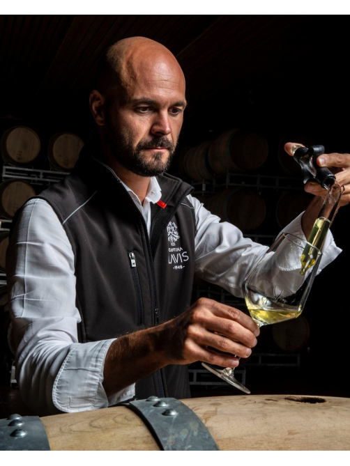 Вино Lavis Gewurztraminer белое полусухое, 0.75л