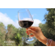 Вино Riporta Primitivo красное полусухое, 0.75л