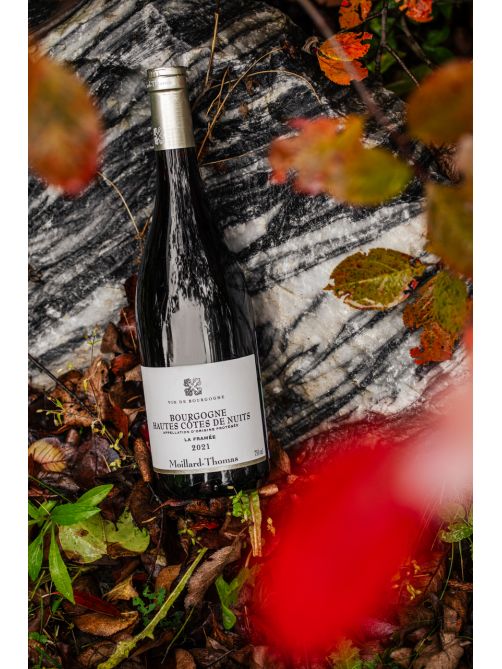 Вино Moillard Thomas Hautes Cotes de Nuits красное сухое, 0.75л