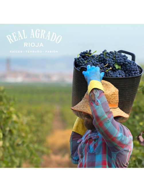 Вино Real Agrado Va! Tempranillo красное сухое, 0.75л