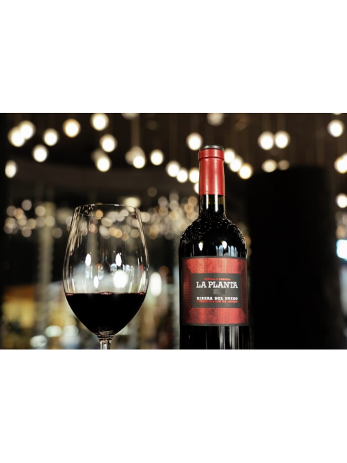 Вино Arzuaga Ribera del Duero La Planta красное сухое, 0.75л