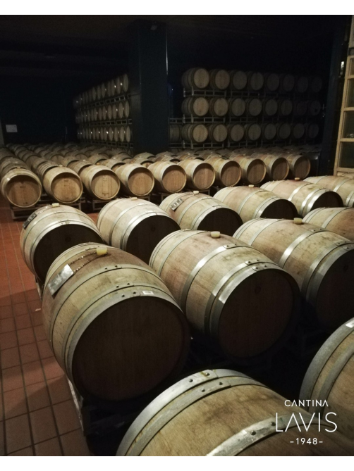 Вино Lavis Riesling белое полусухое, 0.75л