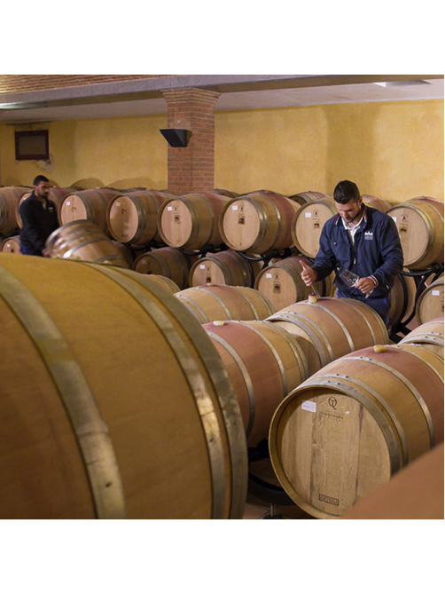 Вино Cantina Scansano Talamo Bianco di Pitigliano белое сухое, 0.75л