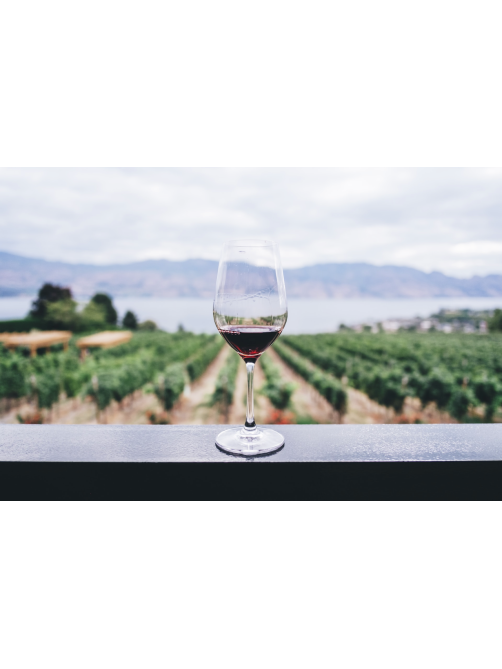 Вино Cantina Scansano Ciliegiolo Maremma Toscana красное сухое, 0.75л